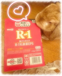 ‎? 美容＆健康ヲタク活動なう?うさぎちゃんも興味津々?‎?