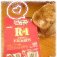 ‎? 美容＆健康ヲタク活動なう?うさぎちゃんも興味津々?‎?