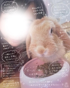 🤍わりとなんでも好きなんです❣️(*´ω｀*)🤍