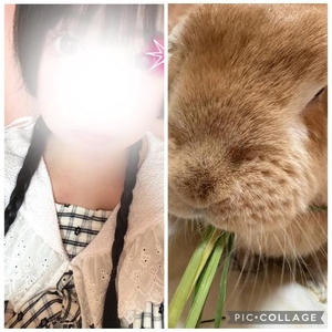🤍仲良しコンビの写真📸🩷️🩵🤍