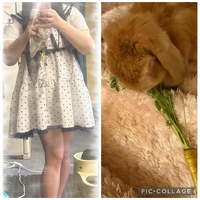 🤍ハマりすぎてまた食べちゃった🩷️🥒🤍
