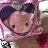 🤍歩く変態🚶‍♀️🤍