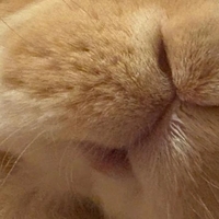 🤍なんの生き物だ⁉️🤍