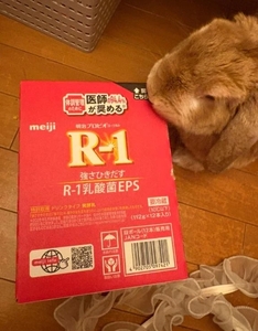 🤍くそちびマゾの健康管理٩(๑´3`๑)۶🤍
