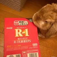 ‎🤍くそちびマゾの健康管理٩(๑´3｀๑)۶‎🤍