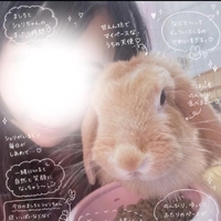 🤍やらかした〜ꉂ🤣𐤔🤍