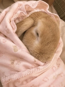 ‎🤍ごめんなさい🥲‎‎🤍