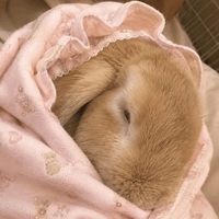 ‎🤍ごめんなさい🥲‎‎🤍