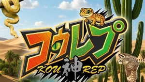 行ってきました‼︎コウレプ🤭