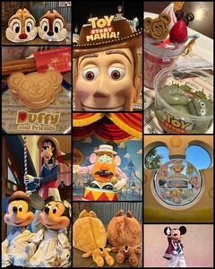 あけみの大冒険 in ディズニーシー🌊