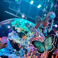 どうしてこんなにエッチになっちゃったんだろ?