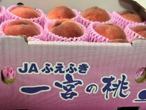 ピンクの〇〇〇...🫢
