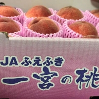 ピンクの〇〇〇...🫢