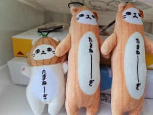 こんばんは☺️