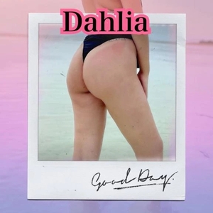 🐬