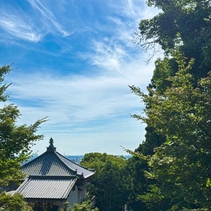 🍃