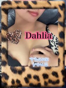 🐆