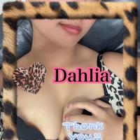 🐆