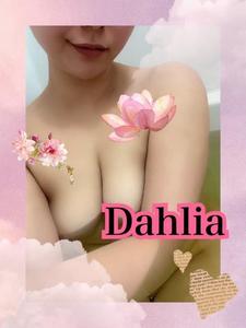 🌷