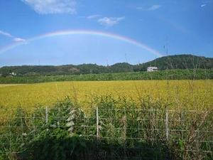 明日は久々に出勤します😊