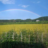 明日は久々に出勤します😊