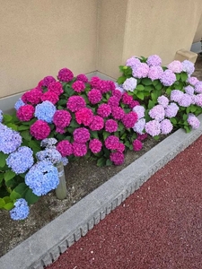 おはようございます😀
