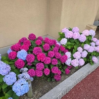 おはようございます😀