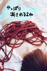 明日は出勤です🐕