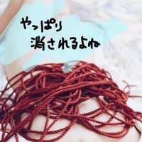 明日は出勤です🐕