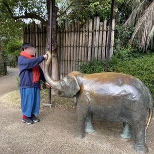 来週からぼちぼちと…🐕