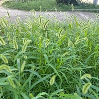 今日も楽しかったです🐕