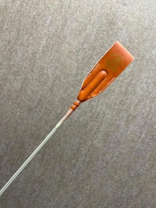 昨日は楽しかったです🐕