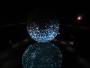 今日も楽しかったです🐕