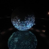 今日も楽しかったです🐕