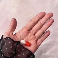 昨日も楽しかったです🐕