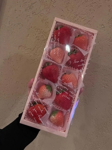 今日も楽しかったです🐕