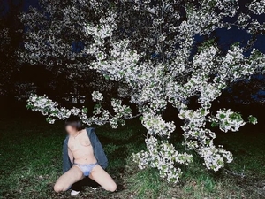 今日は出勤です🐕