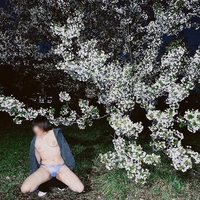 今日は出勤です🐕