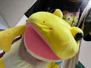 昨日も楽しかったです🐕