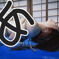 いつも楽しいです🐕