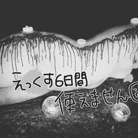 残念無念😭