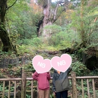 しゅっきん🦖🦖