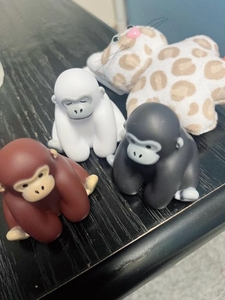 しゅっきん予定✨