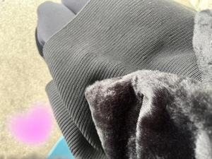 しゅっきん🦖🦖