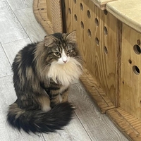 明日出勤します☘️