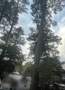 お疲れ様です～✨