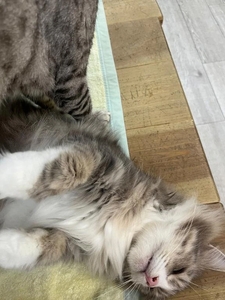 久しぶりに。