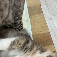 久しぶりに。