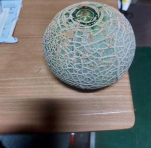 メロン🍈