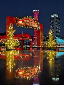 おはようございます☀